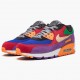 Nike Air Max 90 Viotech OG CD0917 600 Dame/Herre