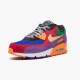 Nike Air Max 90 Viotech OG CD0917 600 Dame/Herre