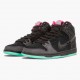 Nike Dunk SB High Premier Northern Lights 313171 063 Dame/Herre