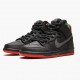 Nike Dunk SB High Spot Gasparilla 313171 028 Herre