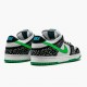 Nike Dunk SB Low Loon 313170 011 Dame/Herre