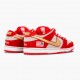 Nike Dunk SB Low Nasty Boys 304292 610 Dame/Herre