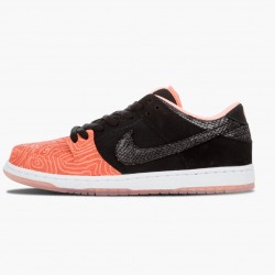 Nike Dunk SB Low Premier Fish Ladder 313170 603 Dame/Herre