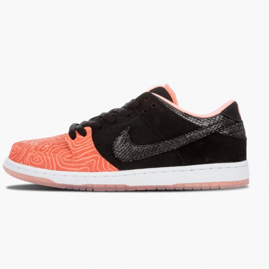 Nike Dunk SB Low Premier Fish Ladder 313170 603 Dame/Herre