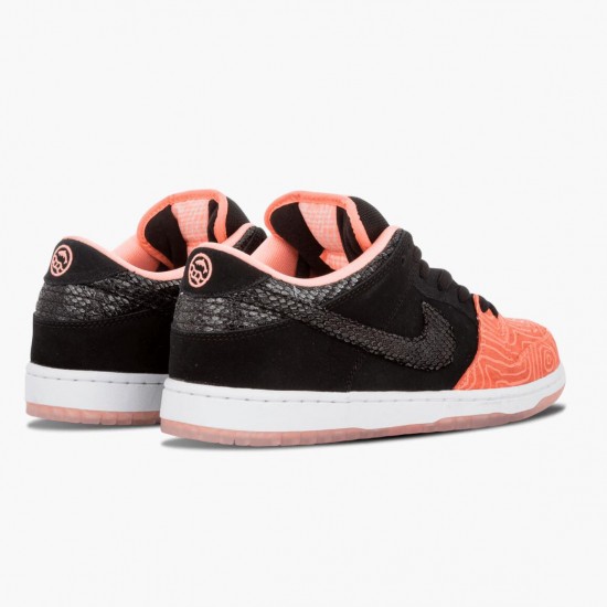 Nike Dunk SB Low Premier Fish Ladder 313170 603 Dame/Herre