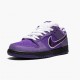 Nike SB Dunk Low Concepts Lilla Lobster BV1310 555a Dame/Herre