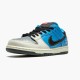 Nike SB Dunk Low Instant Skateboards CZ5128 400 Dame/Herre