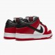 Nike SB Dunk Low J Pack Chicago BQ6817 600 Dame/Herre