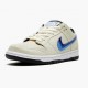 Nike SB Dunk Low Truck It CT6688 200 Dame/Herre