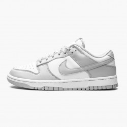 Nike Dunk Low "Grå Fog" DD1391 103 Herre