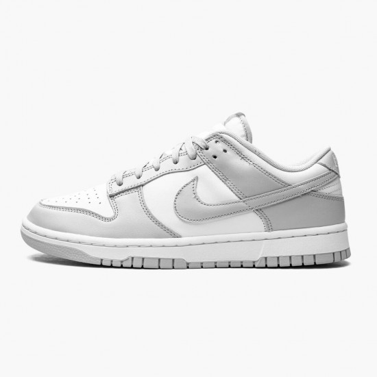 Nike Dunk Low Grå Fog DD1391 103 Herre