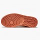 Nike Air Jordan 1 Mid Apricot Orange DH4270 800 Atomic Orange/Apricot Agate-Terra Blush Dame/Herre