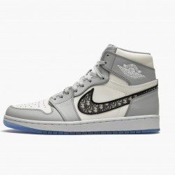 Nike Air Jordan 1 Retro High Wolf Grå/Sail-Photon Dust-Whi CN8607 002 Dame/Herre 