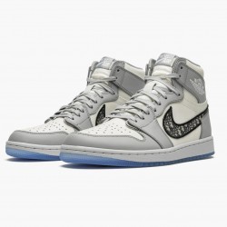 Nike Air Jordan 1 Retro High Wolf Grå/Sail-Photon Dust-Whi CN8607 002 Dame/Herre 