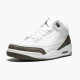 Nike Air Jordan 3 Retro Mocha Dame/Herre 136064 122 Hvid/Chrome/Dark Mocha