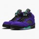 Nike Air Jordan 5 Retro Alternate Grape Herre Grape Ice/Sort-Clear-New Emer 136027 500