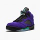 Nike Air Jordan 5 Retro Alternate Grape Herre Grape Ice/Sort-Clear-New Emer 136027 500