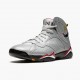 Nike Air Jordan 7 Retro Reflections of A Champion Herre Reflect Silver/Cardinal Rød-Bl BV6281 006